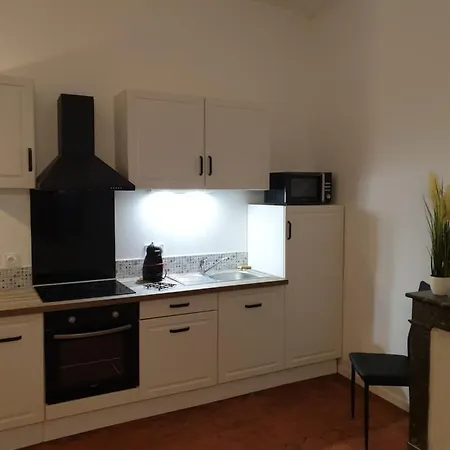 Picasso Centre Historique * ペルピニャン